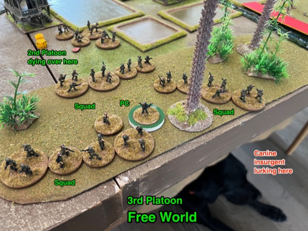 CDS-126 Platoon 3 Revealed in the south