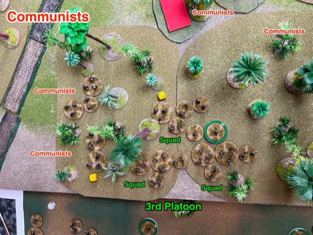 CDS-207 Viet Cong Main Force revealed in west