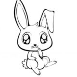 Bunny Looking Harmless